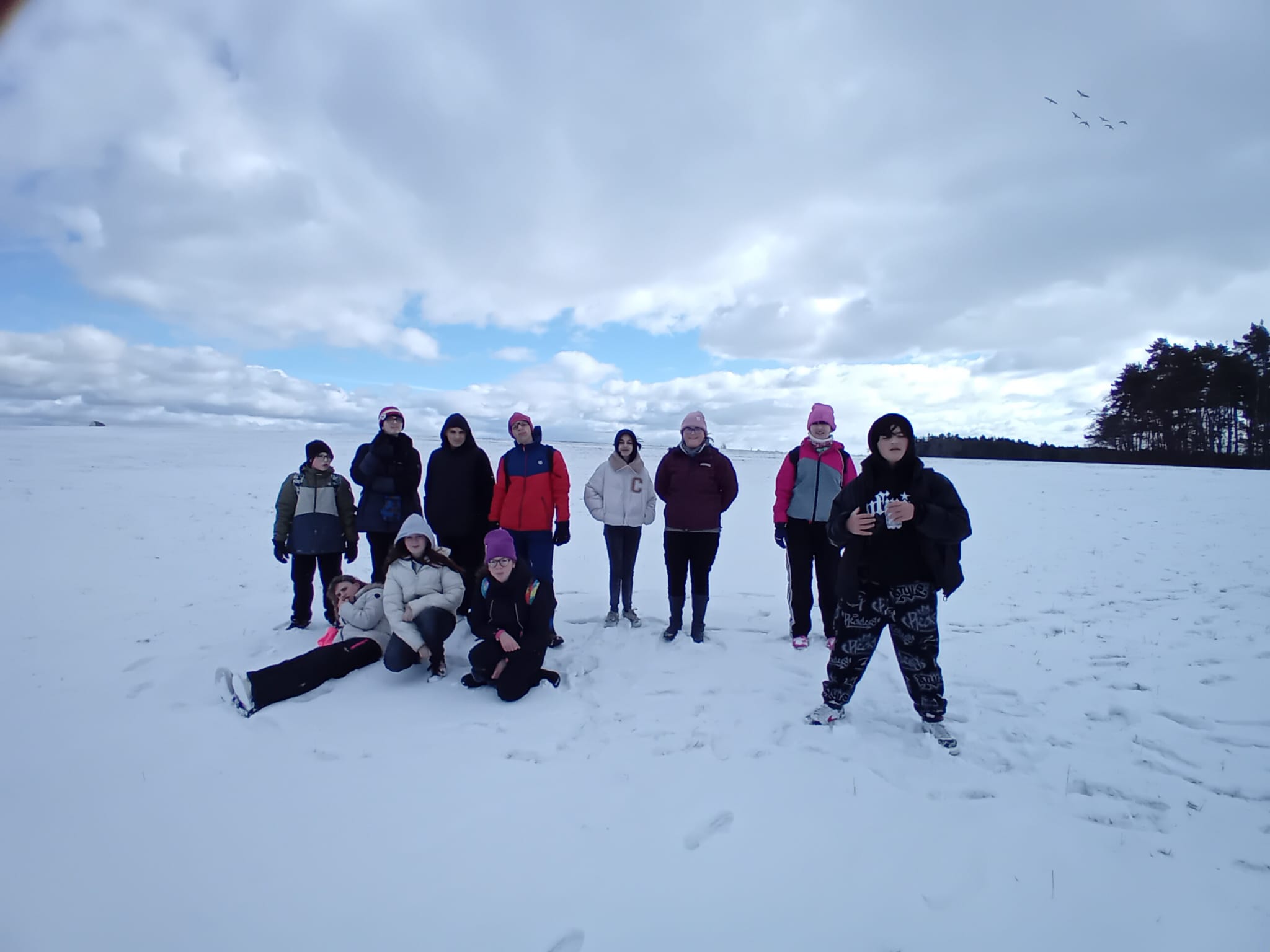 c1a95d31 bd05 4f06 9646 deeb6dba839e