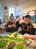img-20260518-wa0013