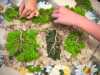 img-20260518-wa0015